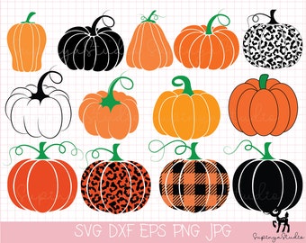 Paquete de svg de calabaza, svg de halloween, svg de calabaza, svg de otoño, svg de otoño, archivo svg de calabaza, archivo de clipart de calabaza