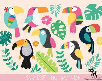 Tropical Bird Clipart - Cute Toucan & Parrot SVG Bundle | Jungle Birds  | Exotic Wildlife Digital Download