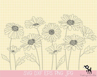 Daisy SVG paquete, Ramo svg paquete, svg floral, flores silvestres svg, flores svg png dibujado a mano, ramo minimalista, svg botánico 5pcs