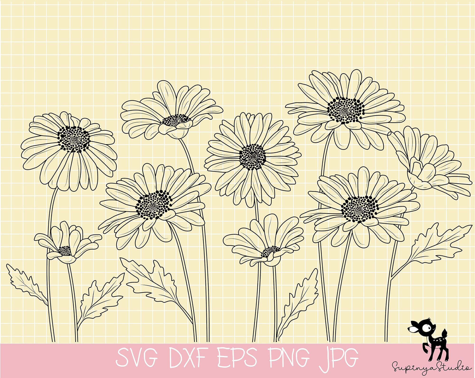 Daisy Svg Bundle Floral Bouquets Svg Wildflowers Svg vrogue.co