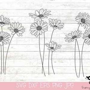 Daisy SVG bundle, Bouquet svg bundle ,floral svg,wildflowers svg, flowers svg png hand drawn , minimalist bouquet svg , botanical svg