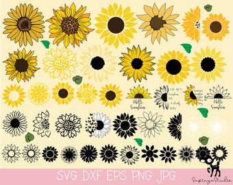 Sunflower SVG, Cricut Sunflower,Sunflower Clipart,Sunflower Cut File,42 PCS