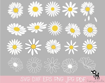 20 Daisy SVG bundle, Bouquet svg bundle,floral svg,wildflowers svg, flowers svg png hand drawn, minimalist bouquet svg, botanical svg