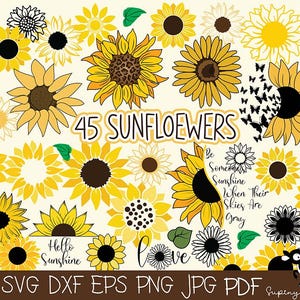 Sonnenblume SVG Bundle | Sonnenblume Clipart PNG | Blumen SVG-Schnittdateien | Sonnenblume Cricut Silhouette | Sonnenblume Digital Download