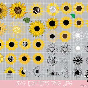 Sunflower SVG, Cricut Sunflower,Sunflower Clipart,Sunflower Cut File,42 PCS