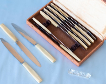 12 table Knives Nantes Stainless steel from France full set in original case Vintage Nantes