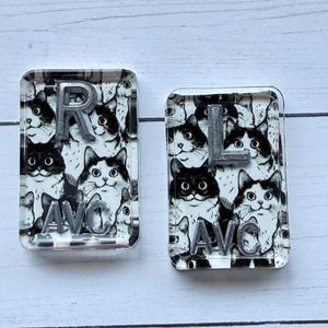 May include: Two rectangular, clear acrylic keychains. Each keychain features a repeating pattern of black and white cat faces. One keychain has a silver "R" and "AVC" and the other has a silver "L" and "AVC".