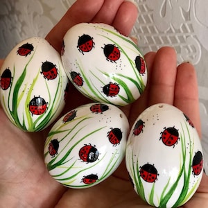 Può includere: Cinque uova bianche decorate con erba verde e coccinelle rosse. Le uova sono dipinte con uno sfondo bianco ed erba verde con coccinelle rosse su di esse.