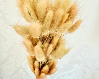 Lagurus for decoration, Dried flowers