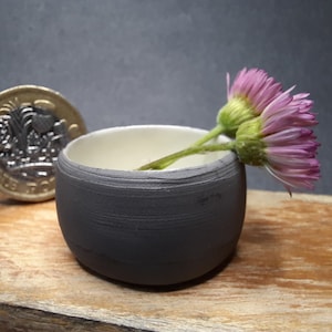 Könnte beinhalten: Eine kleine, dunkelgraue Keramikschale mit weißem Innenraum, die zwei rosa und gelbe Blumen enthält. Neben der Schale liegt eine Ein-Pfund-Münze. Die Schale steht auf einer Holzoberfläche vor grauem Hintergrund.