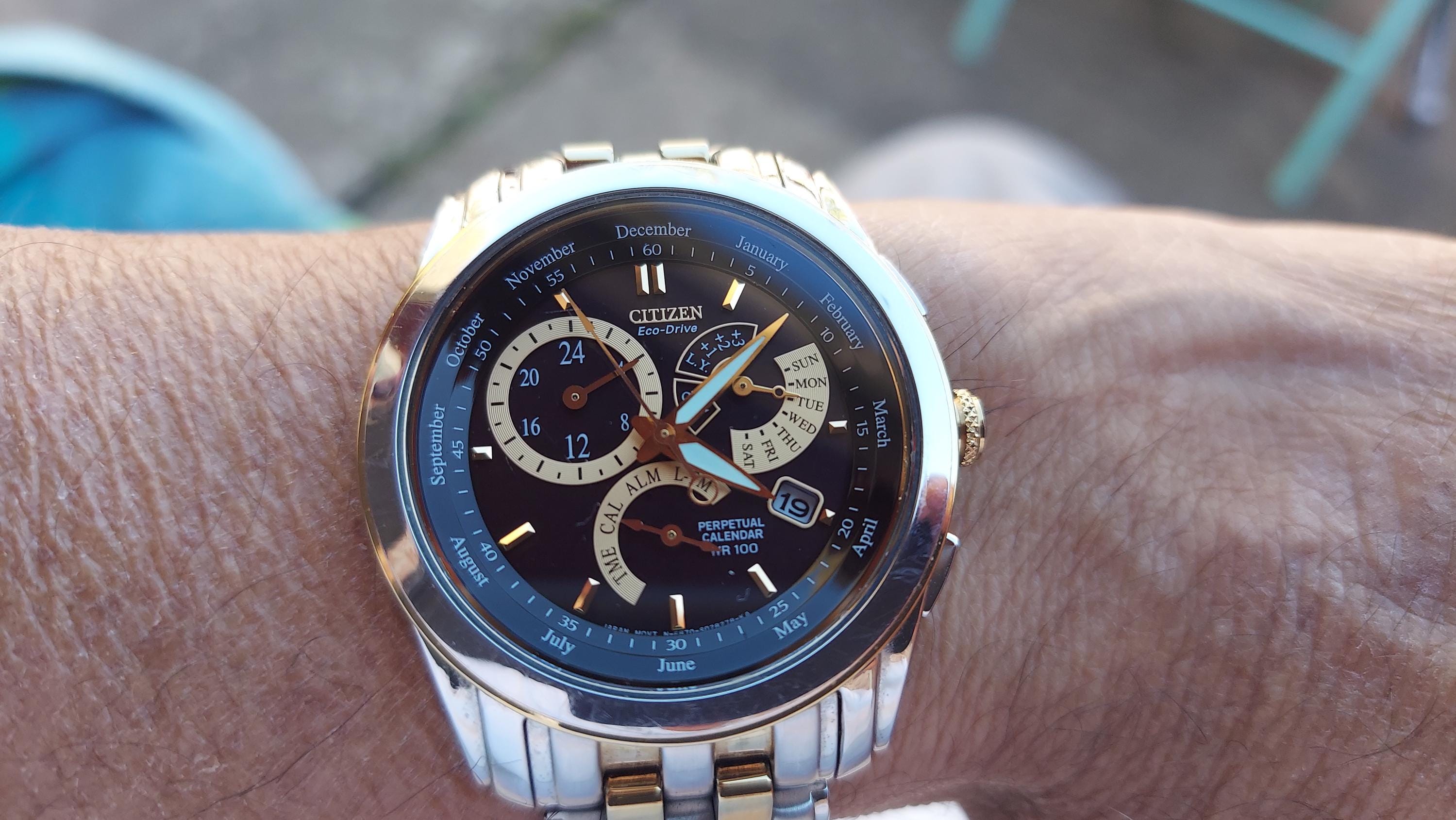 Citizen Eco-drive Perpetual Calendar Alarm E870-S015294 Men's - Main Image