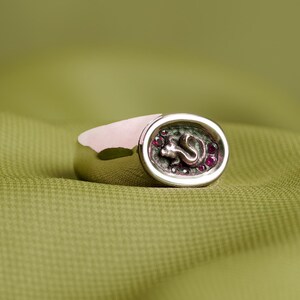 Pode incluir: Um anel de prata com uma configuração oval que apresenta um design detalhado de uma cobra com pedras preciosas vermelhas. O anel está sobre um fundo de tecido verde.