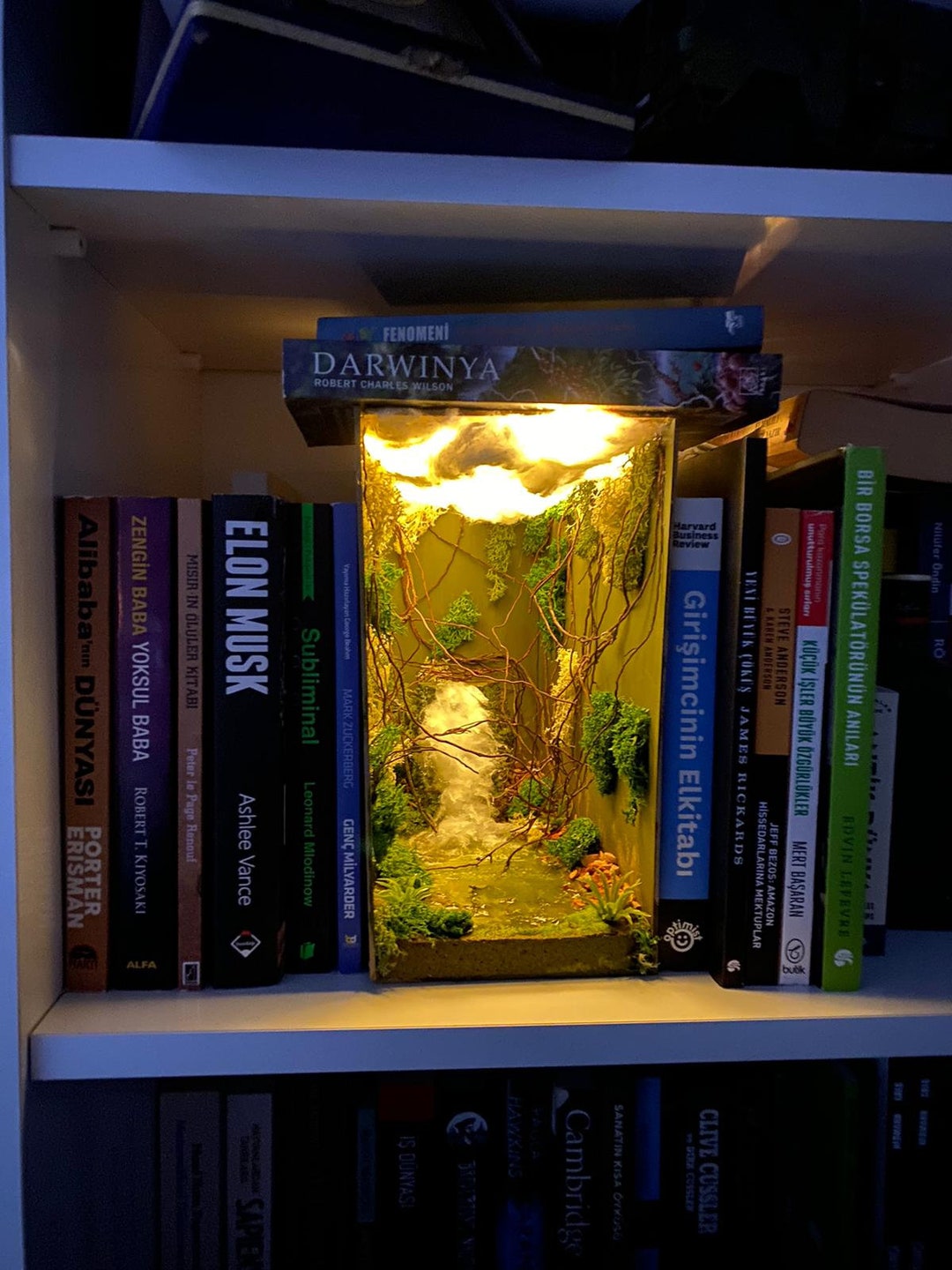 Jungle Book Nook Amazon Forest Bookshelf Accessory Fairy Etsy