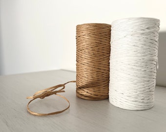 100 m Paper Rope | Paper Cord | Paper String on Wire| Gift For Christmas | Home Decor | Paper String | Paper Craft | Natural Paper Twist