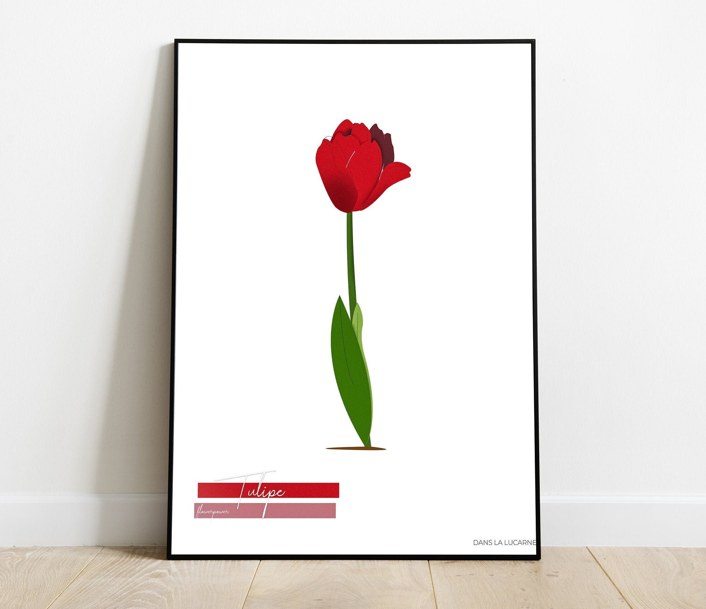 Tulipe Illustration - Flower Power