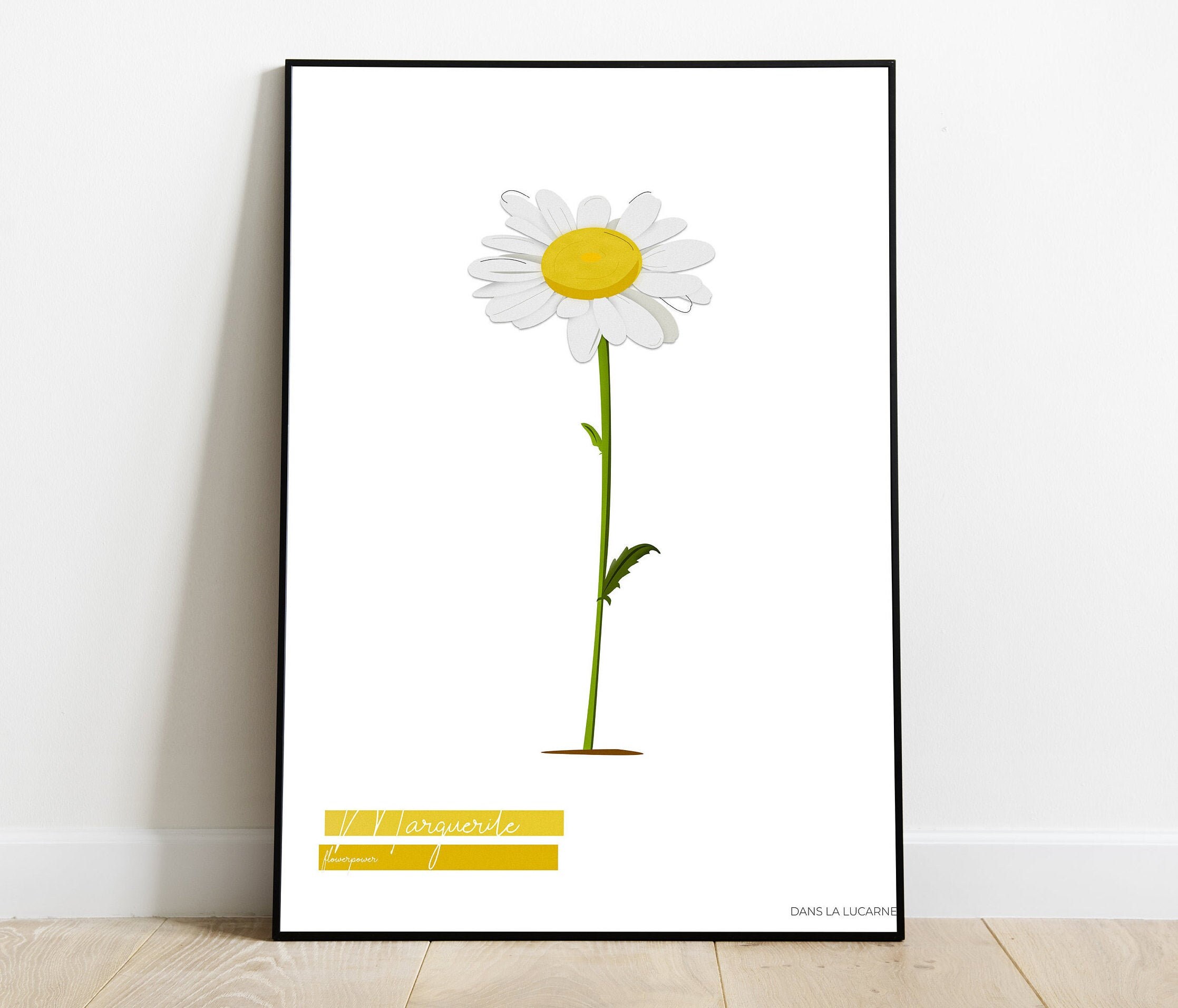 Marguerite Illustration - Flower Power