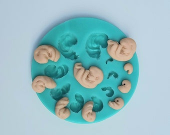 Silicone mold for embryo/fetus of different ages