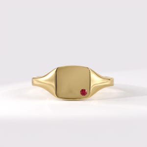 14K Solid Gold Ruby Signet Ring, Minimalist Lab Created Ruby Pinky Ring, Dainty Pink Gemstone Statement Ring, Unique Gift For Her