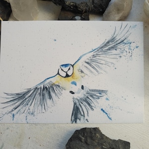 Carte postale mésange volante