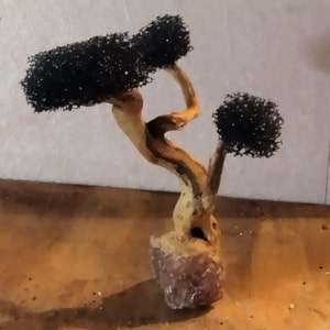 Nano sized bonsai tree