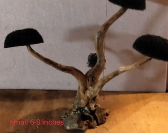 BONSAI TREE SMALL 6-8 inches