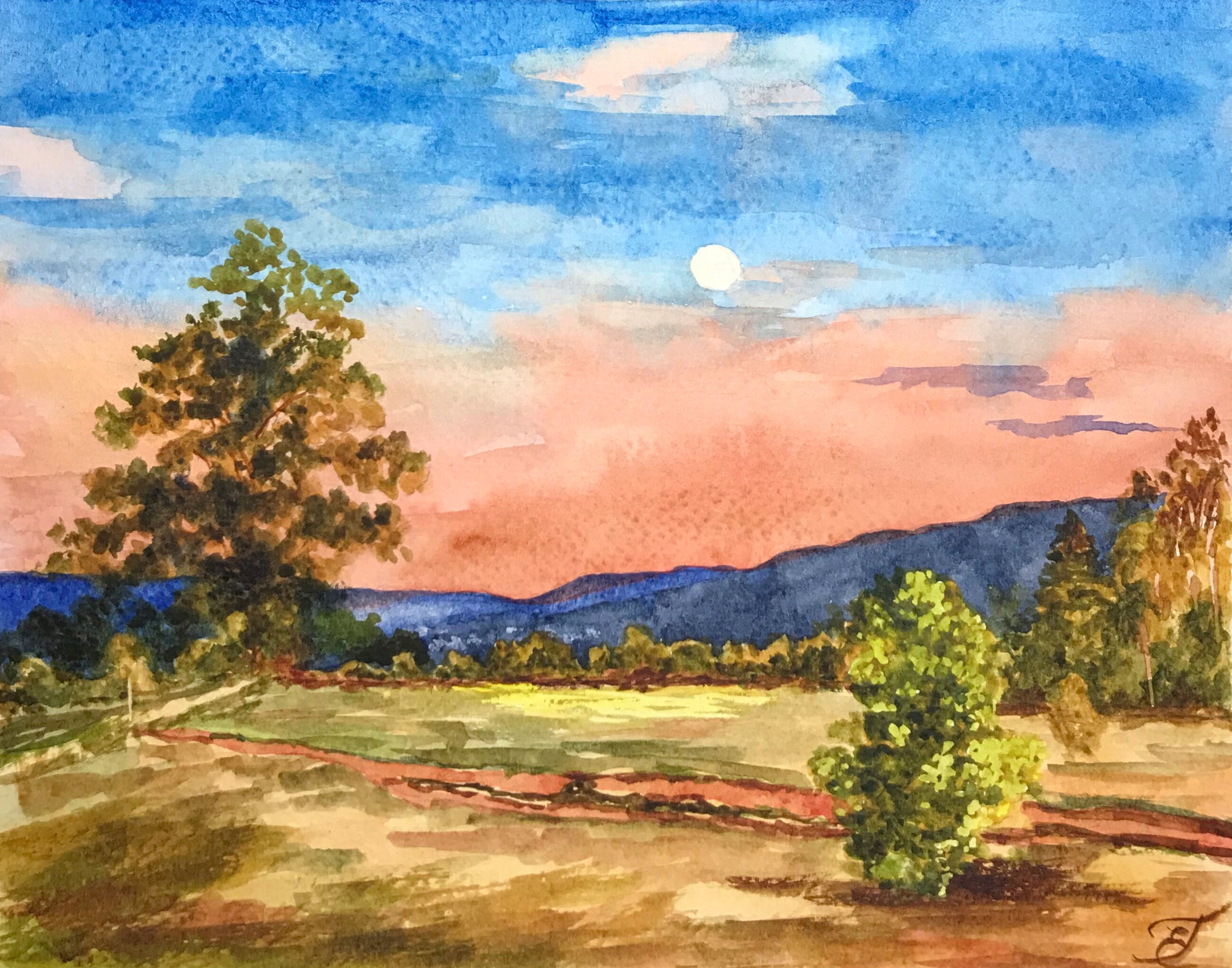 Napa Valley Painting California Original Art 8 by 10 Landscape Etsy