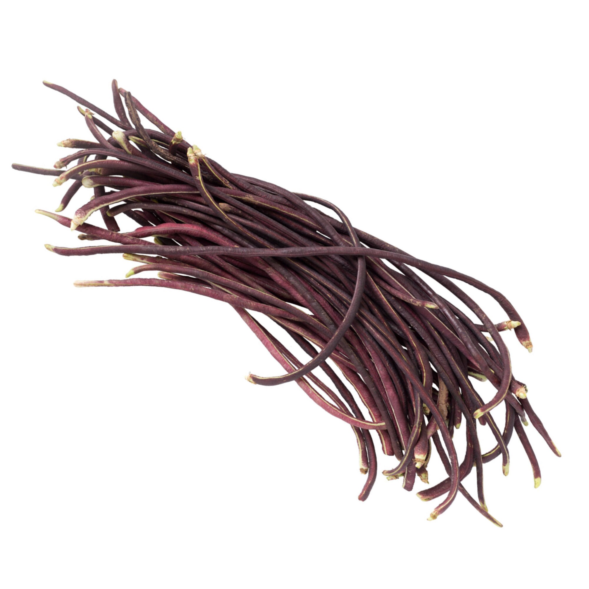 Purple Yard Long Bean Seeds Red Noodle Yard Long Heirloom Etsy
