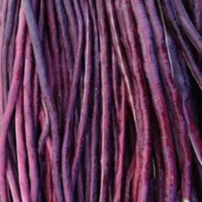 5 Colors Mix Yard Long Bean Multi Variety Vegetable Heirloom