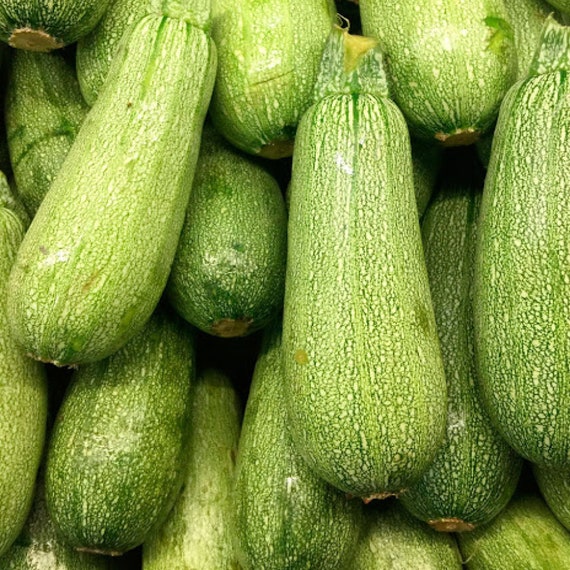 Squash Calabacita Mexican Grey Squash Grey Squash Grey Etsy