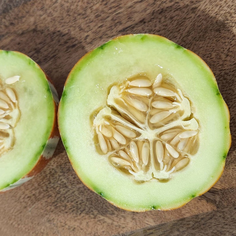 Rare Kajari Melon Seeds Indian Pocket Melon Cucmis Melon Etsy