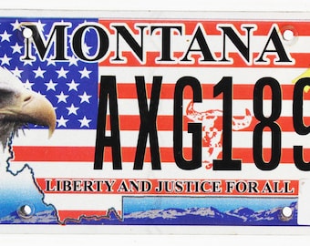 USA License Plates