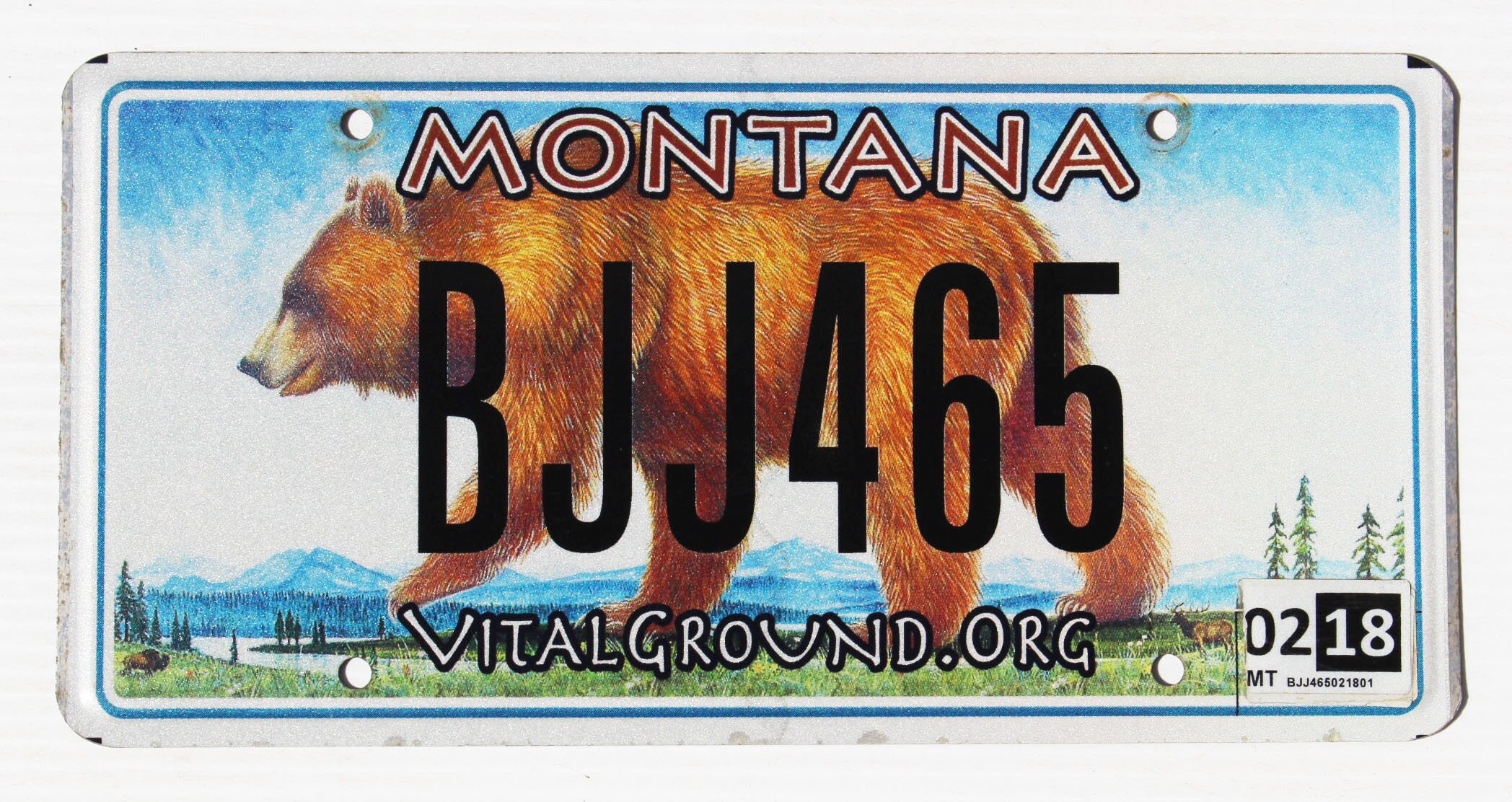 Wildlife License Plates Etsy