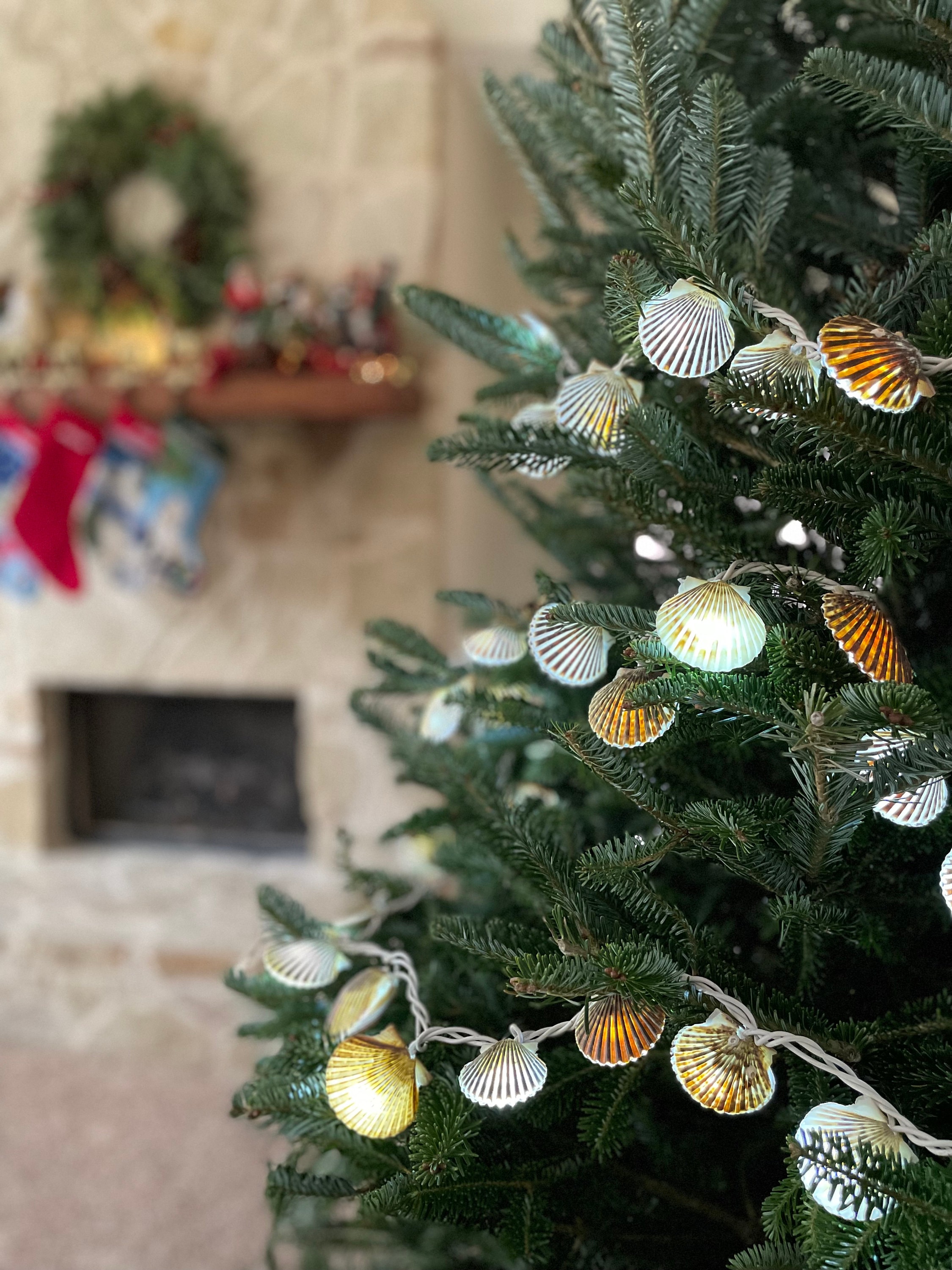 Nantucket Scallop String Lights / 8 Feet Long / Electric Powered - Etsy