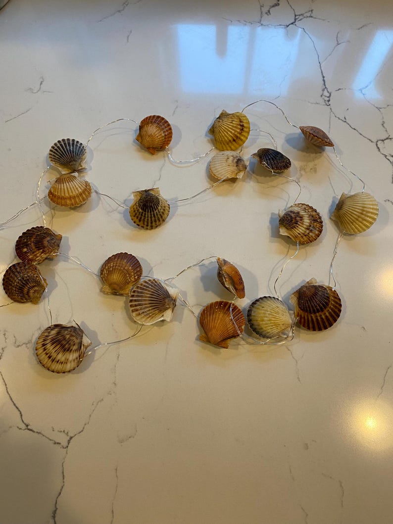 Nantucket Miniature Scallop Shell String Lights / Battery Powered - Etsy