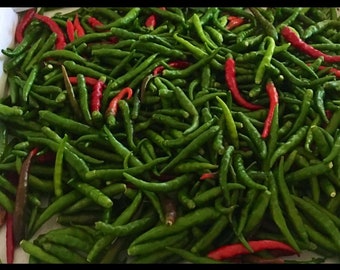 Hot Peppers South Indian, approximately 25 seeds. Grown in US, 100% organic.