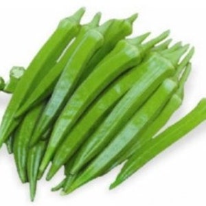 Desi okra, 5 ridged Indian okra approximately 20 seeds. Grown in US, 100% organic.