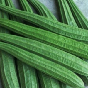 May include: A bunch of long, green, ribbed vegetables. The vegetables are arranged in a pile, with the tips of some of the vegetables sticking out from the pile.