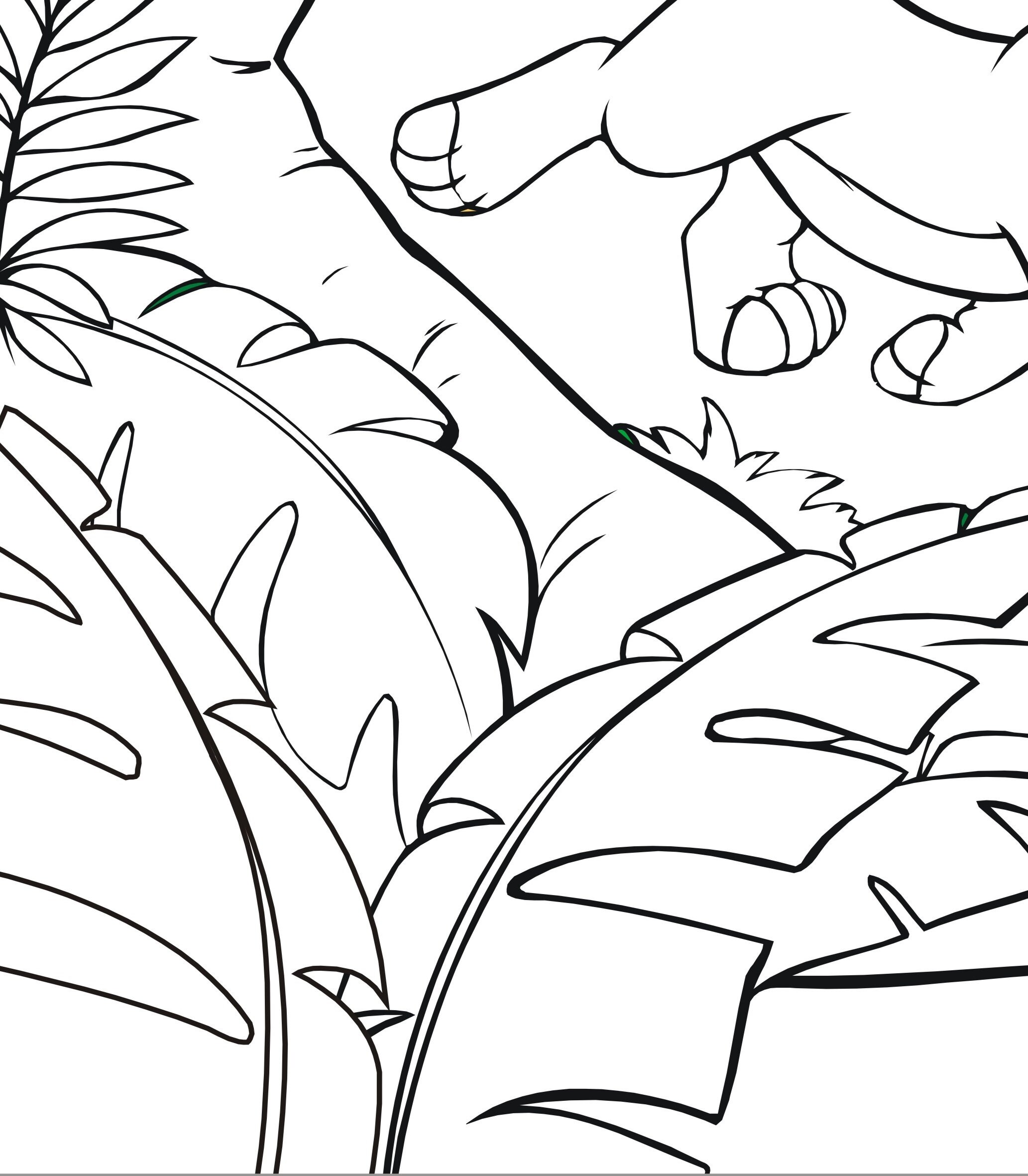 Impreso libro para colorear personalizado hoja de dibujos  Etsy