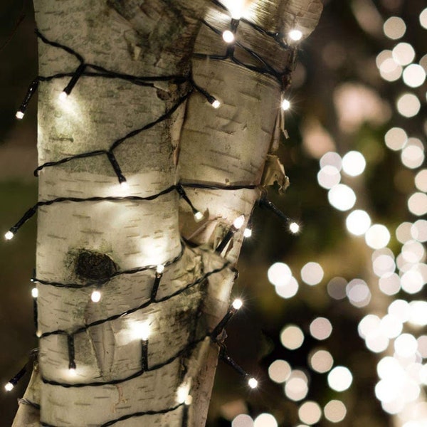 Plant DIY Solar Powered String Lights, Waterproof Warm- White Lights