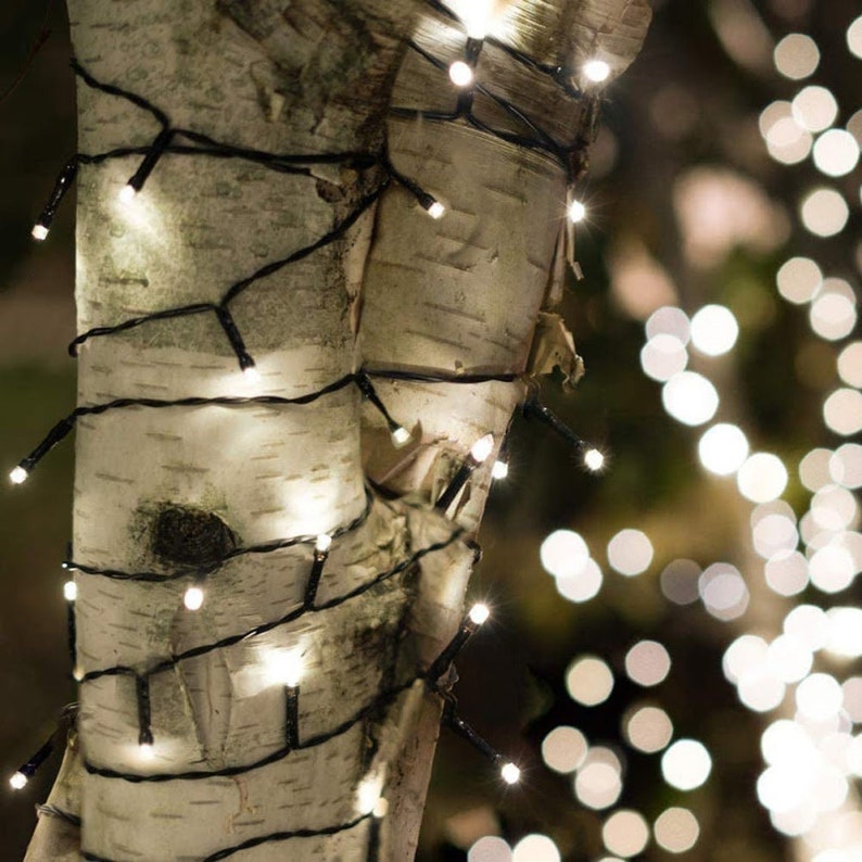 May include: White LED fairy lights wrapped around a birch tree trunk. The lights create a warm glow and are perfect for adding ambiance to any outdoor space.