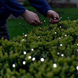 May include: A person is stringing white LED fairy lights around a green bush. The lights are on and glowing, creating a warm and inviting ambiance.