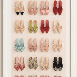 Puede incluir: Una impresi&oacute;n enmarcada que muestra una variedad de zapatos de mujer en varios colores y estilos. La colecci&oacute;n incluye tacones de punta, bailarinas y mules, con detalles como lazos, adornos florales y estampados de animales. Los zapatos est&aacute;n dispuestos en filas.