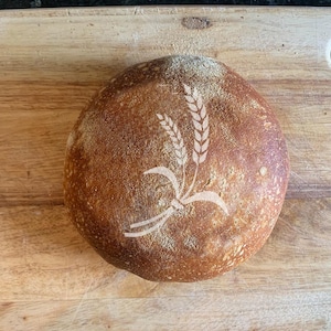 Baking Reusable Stencils - Sourdough Bread Stencil -Be Thankful, 2 Wheat (4 pack -Stencils only) image 4