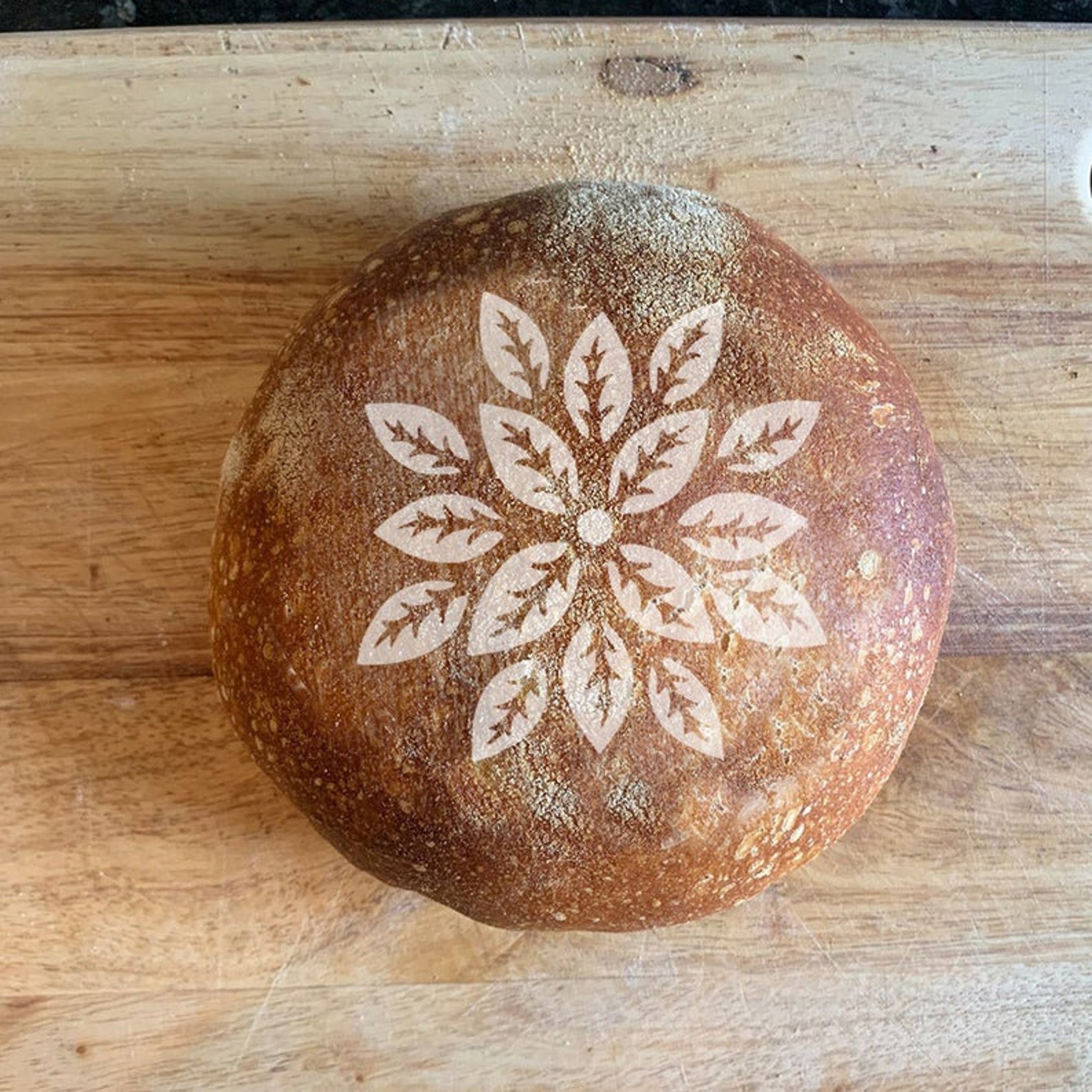 Mandala Pattern Bread Stencil Baking Stencil for Artisan Etsy