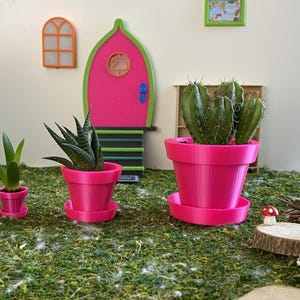 Op de afbeelding: Drie roze miniatuur bloempotten met verschillende planten. De potten hebben een schotel eronder. De grootste pot heeft een cactusplant. De kleinste pot heeft een groene plant. De middelste pot heeft een vetplant. De potten staan op een groen mossig oppervlak.