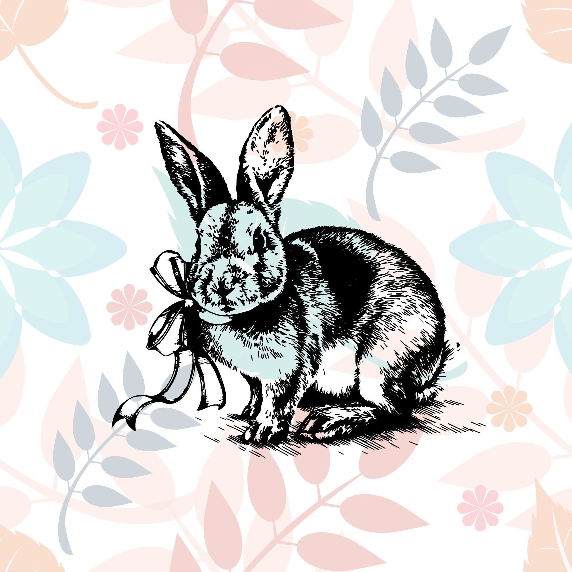Free Free Bunny Card Svg 667 SVG PNG EPS DXF File