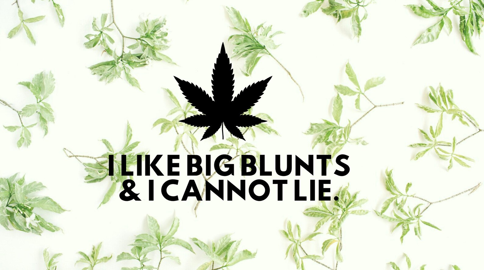 i like big blunts and i cannot lie shirt