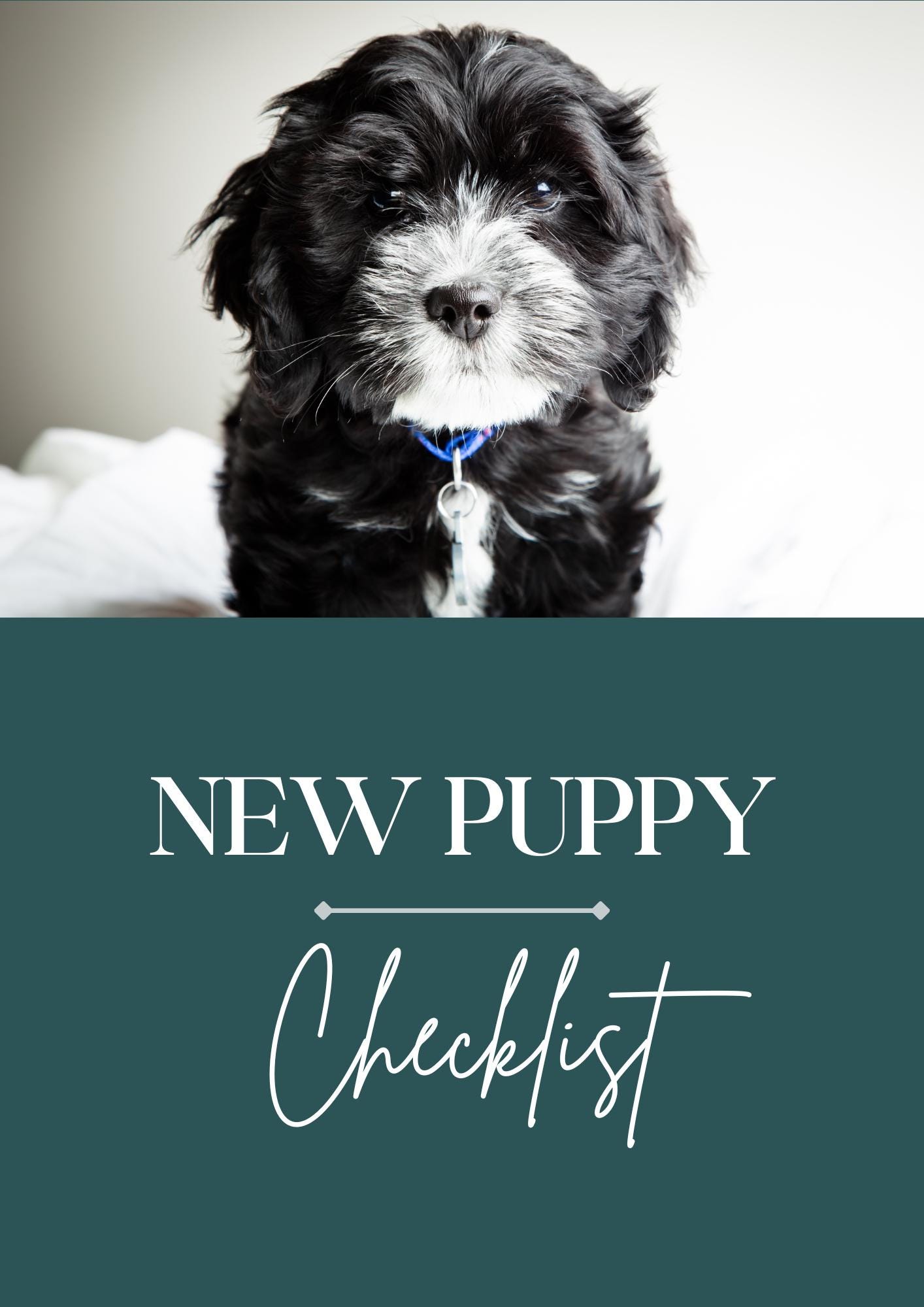 New Puppy Checklist: Digital Download, Print at Home PDF - Etsy