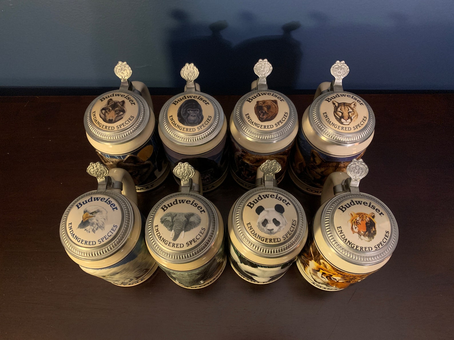 RARE Budweiser Endangered Species Series SET of 8 Beer Steins Etsy