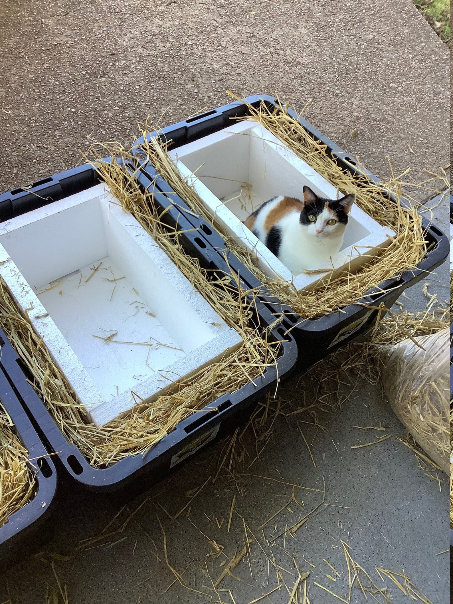 Feral Cat Shelter / Cat House / Cat Box / Cozy Keeper / plus Etsy